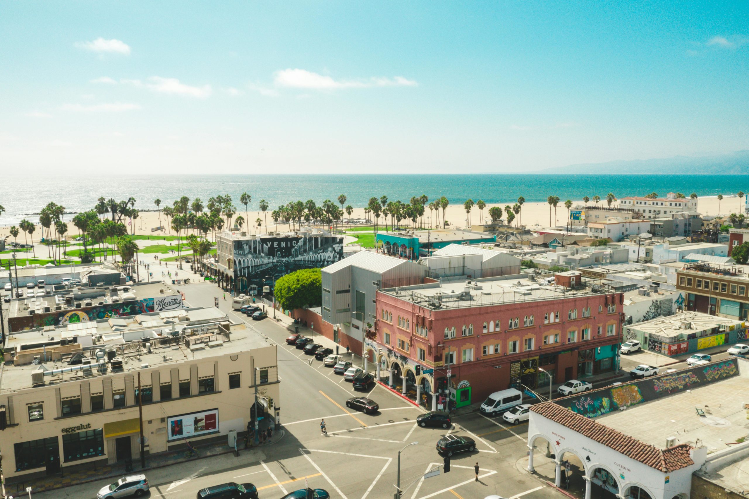 Aerial shot of Venice Beach showcasing urban architecture, palm trees, and ocean view.