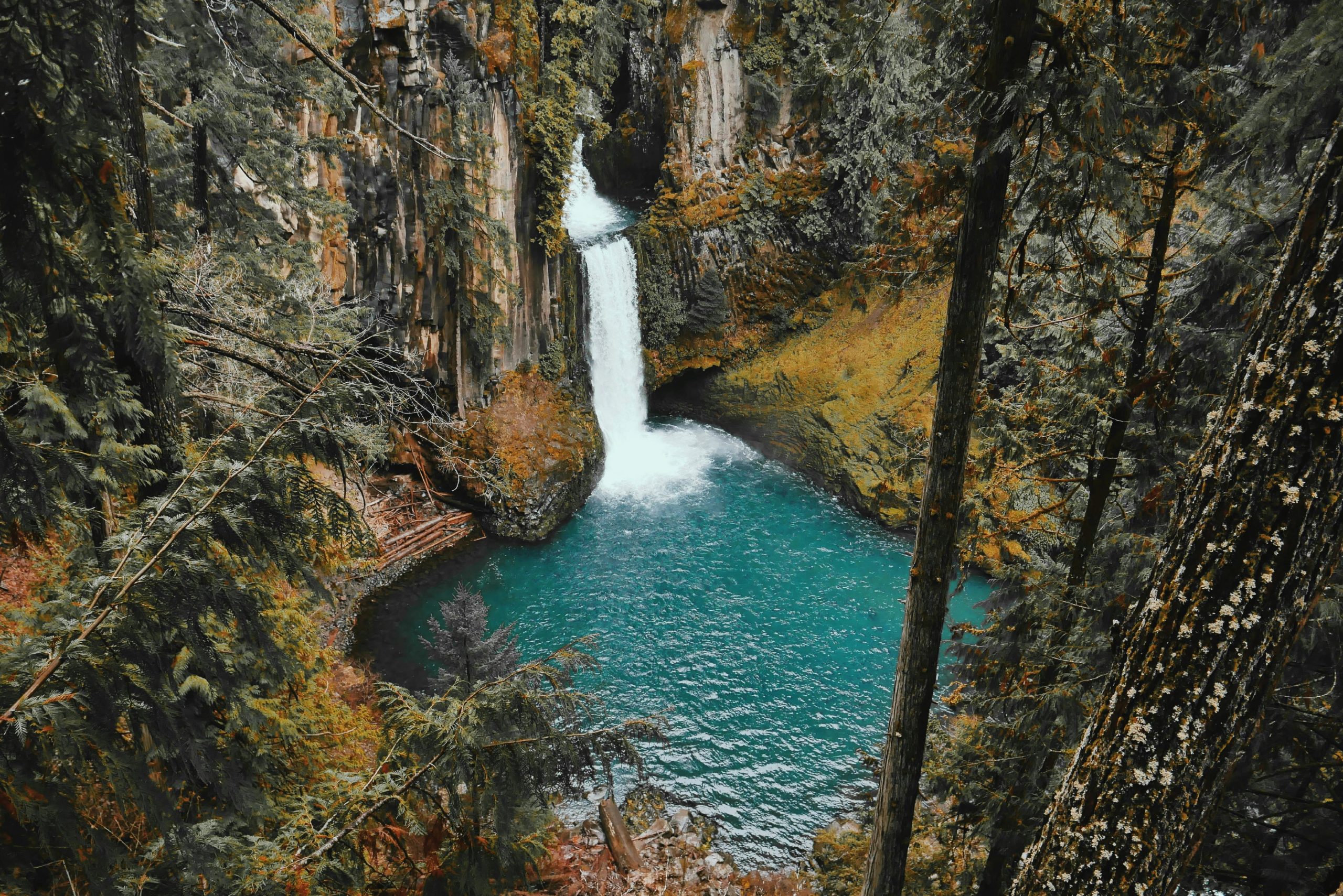 Breathtaking view of a waterfall in a lush forest setting cascading into a turquoise pool.