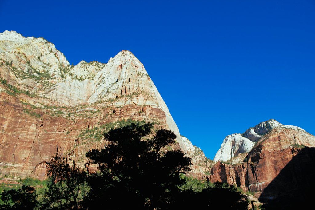 Capture of majestic cliffs and clear blue sky at Zion National Park, Utah, showcasing stunning natural formations.