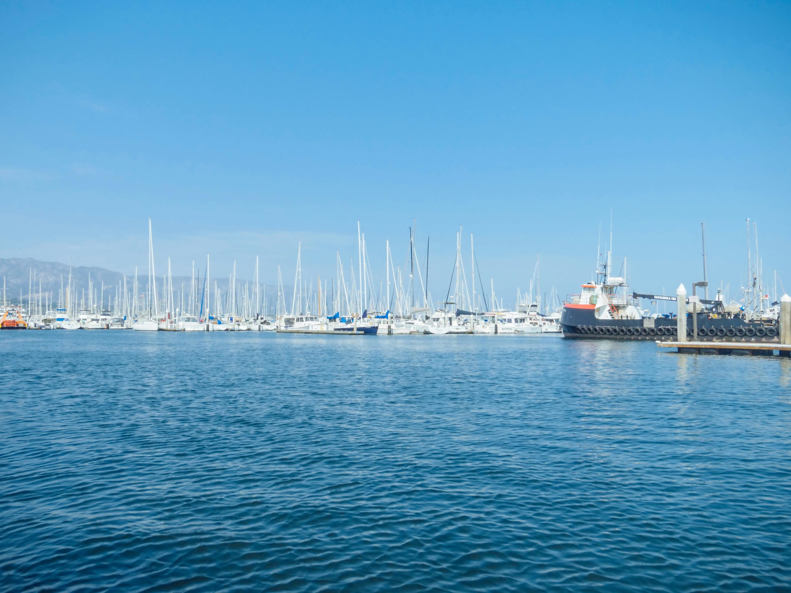 Explore the beautiful marina in Santa Barbara with numerous yachts docked under clear blue skies.